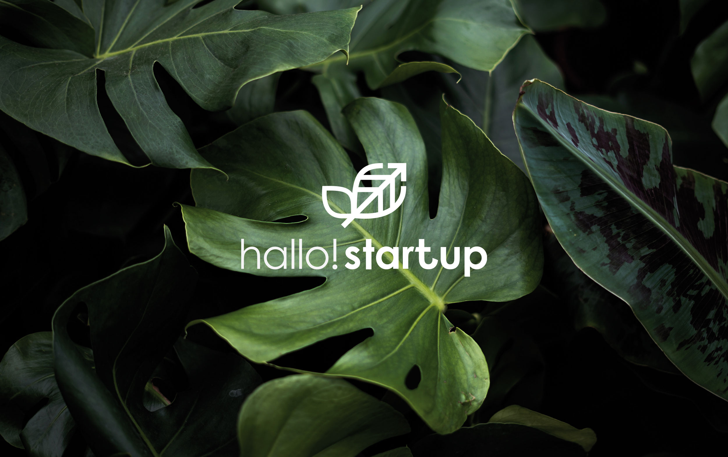 Logodesign von hallo!rot – Agentur für visuelle Kommunikation
